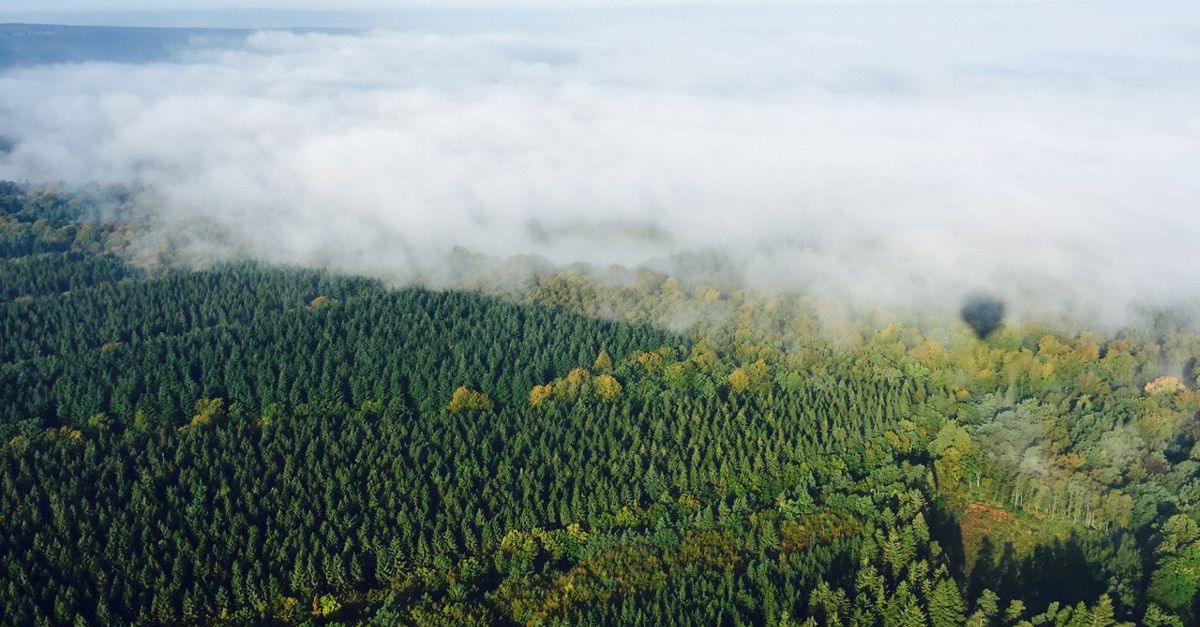 Régions Waimes et Malmédy